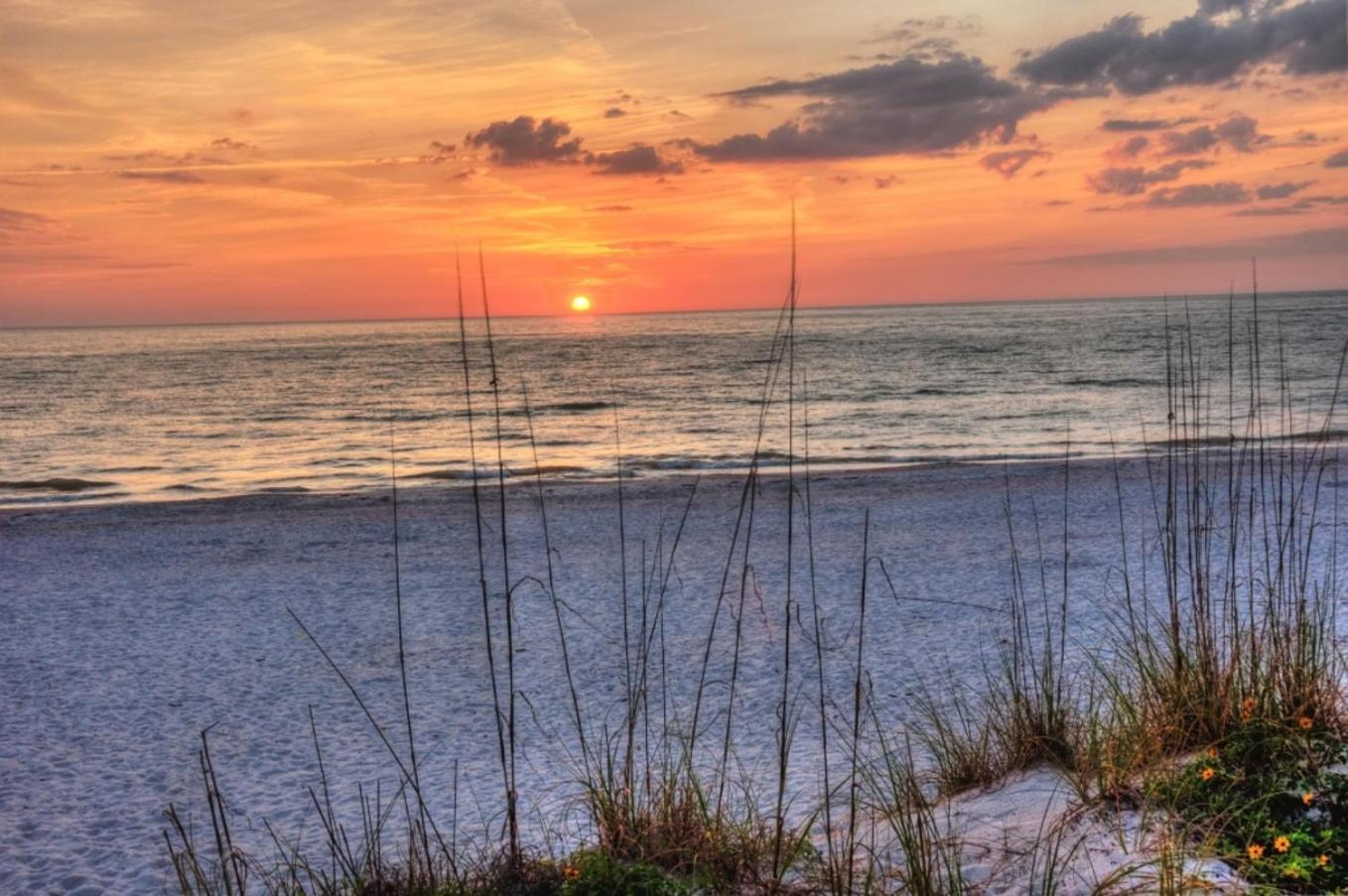 Boutique Beach Retreat St. Pete Beach Esterno foto
